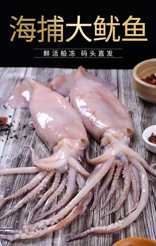 超大鱿鱼鲜活冷冻冻新鲜鱿鱼深海野生大鱿鱼生鲜海鲜水产 稀缺超大