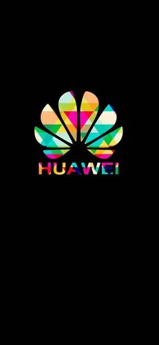 分享两张多彩华为logo表盘