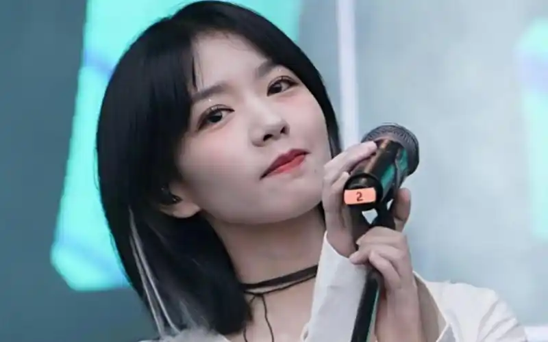 房东的猫小黑 人间理想王心怡!