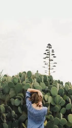 手机壁纸ins风人像壁纸