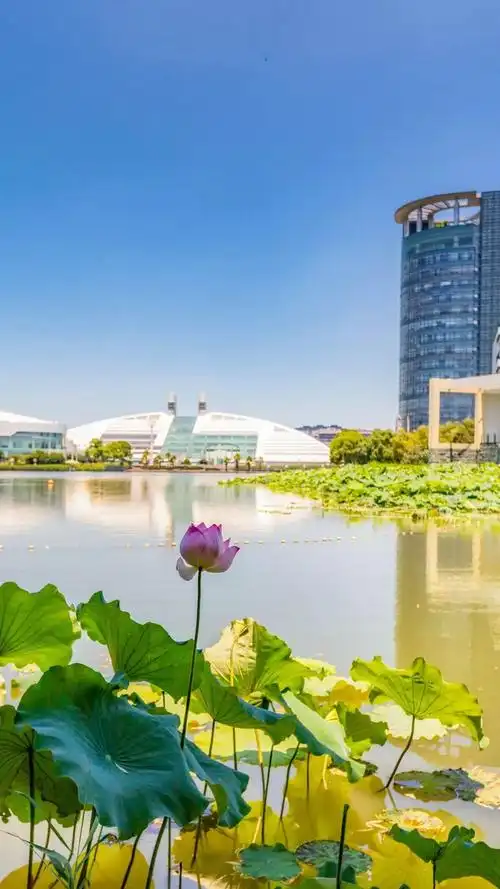 7天限时下载!浙大校庆专属壁纸强势来袭,总有一款适合你!