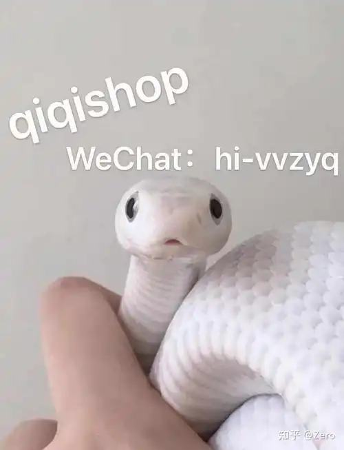 哪里能买到宠物白蛇. - 知乎
