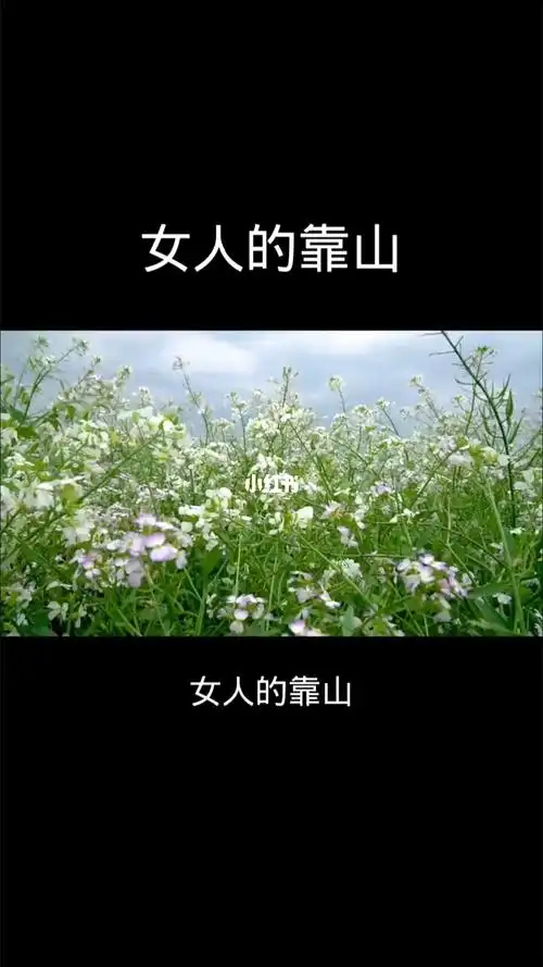 女人的靠山女人这辈子你能靠谁