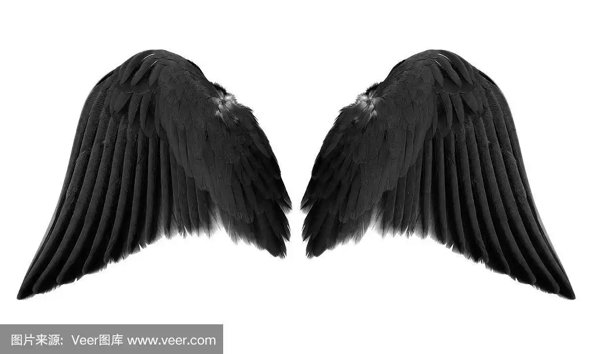 黑色天使翅膀