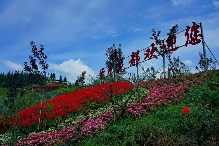 云中花都:位于重庆石柱县冷水镇八龙村,占地3000亩,园区平均温度21度