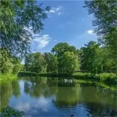 绿水风景头像由美头网小编为大家带来,满屏的绿色让看到的人心旷神怡