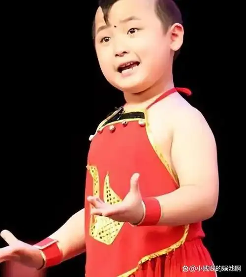 在2012年的央视春节联欢晚会上,一个名叫"邓鸣贺"的小孩成为了龙年