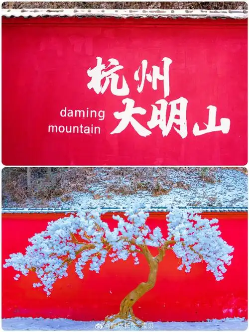 来来来,说说过年去哪儿玩#新年plog接龙#跟我去杭州大明山滑雪92