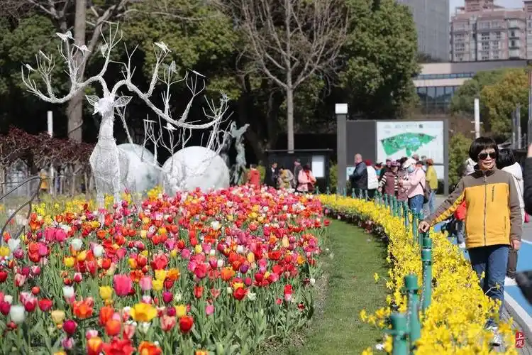 阿姨爷叔微信群里的问候,原图出自这里_郁金香_大宁_公园