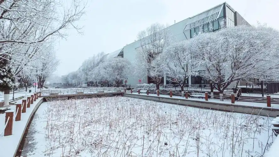 今日立夏,让我们一起点亮中戏校园!