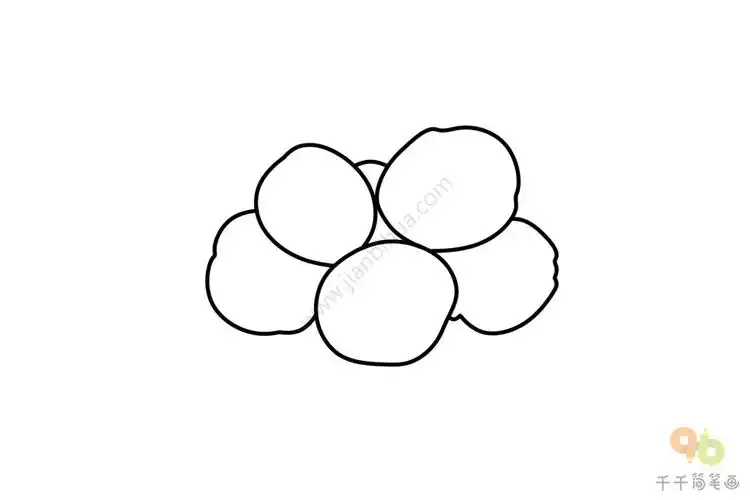 抱子甘蓝简笔画