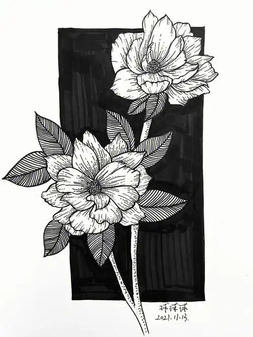画画  #黑白线描装饰画  #装饰画  #花卉  #控笔练习打卡  #每日