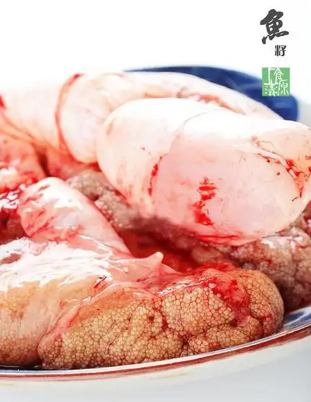 鱼籽鱼泡 20斤起订