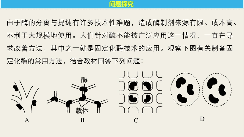 边做边学酵母菌细胞的固定化技术pptx