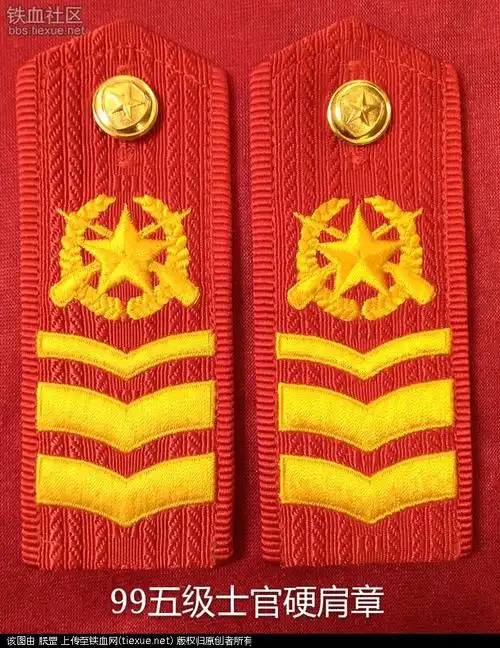 [原创]中国武警消防部队标志,符号,肩章,警衔大全集!