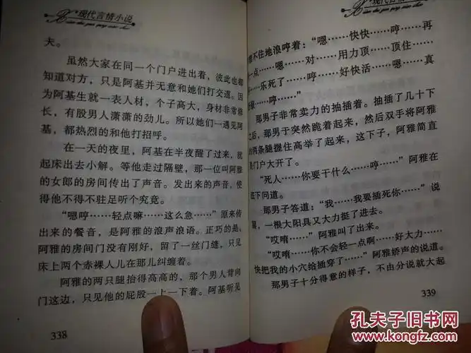汉语好评孤本小说神秘俱乐部范力著明星出版00年版一个两人的故事追女