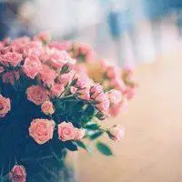 头像图片风景花草图片_微信头像图片大全