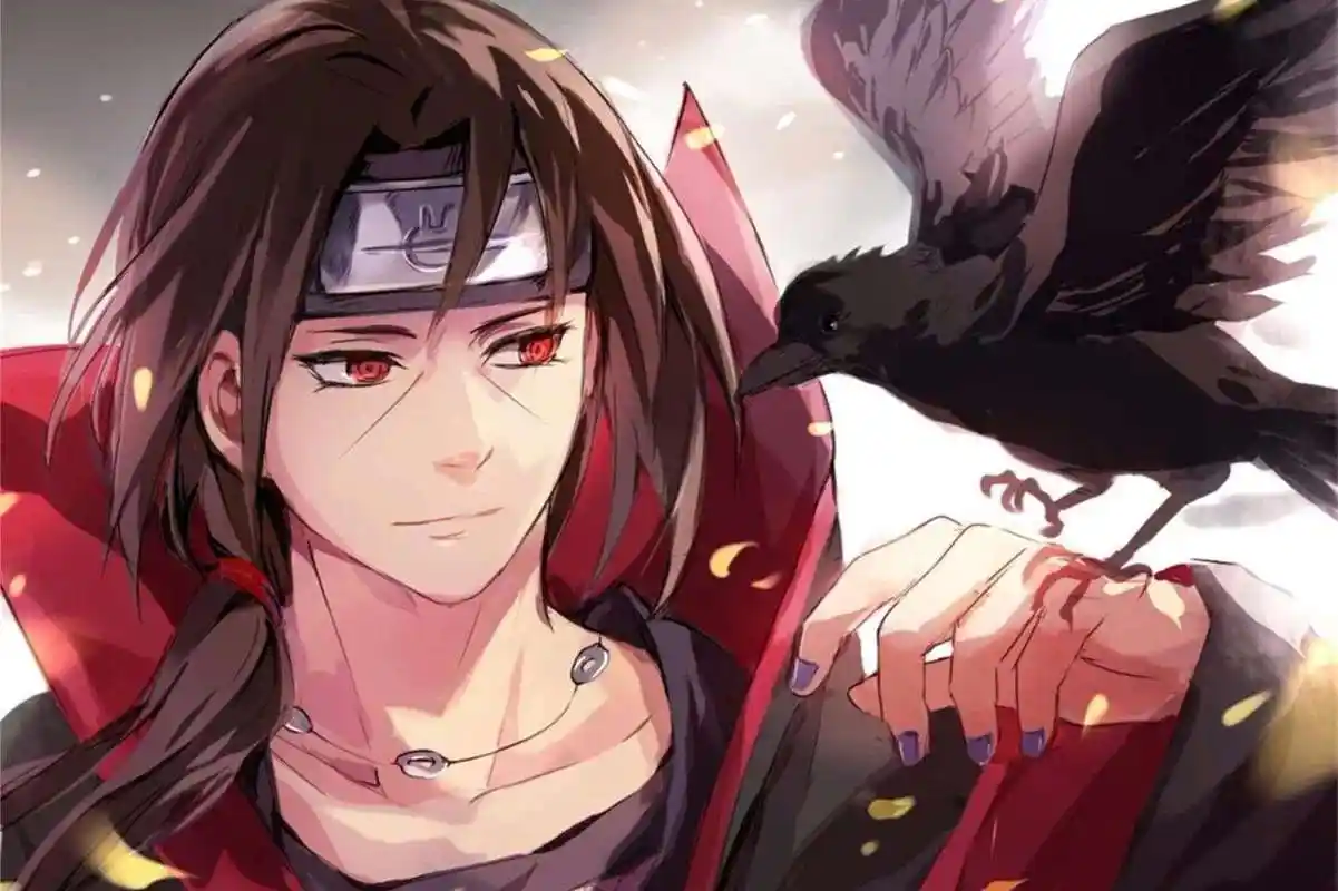 火影忍者为什么鼬要解除秽土转生