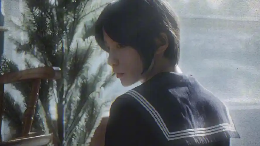 成果#犬来八荒 侧颜