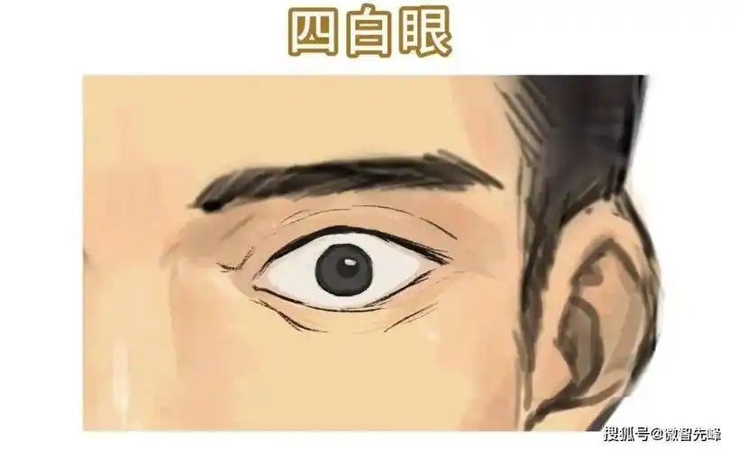四白眼可简单理解为,三白眼的升级版.