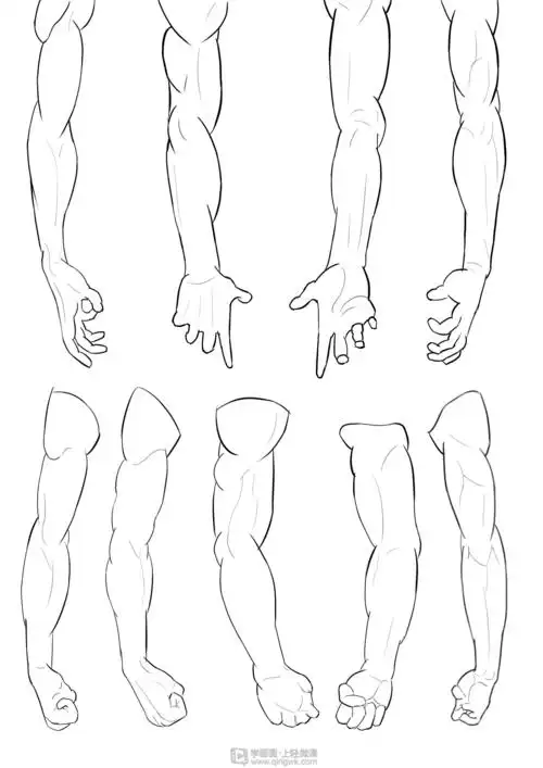 写生手臂人体体块手臂肌肉的练习