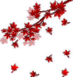 249_265gif 动态图 动图