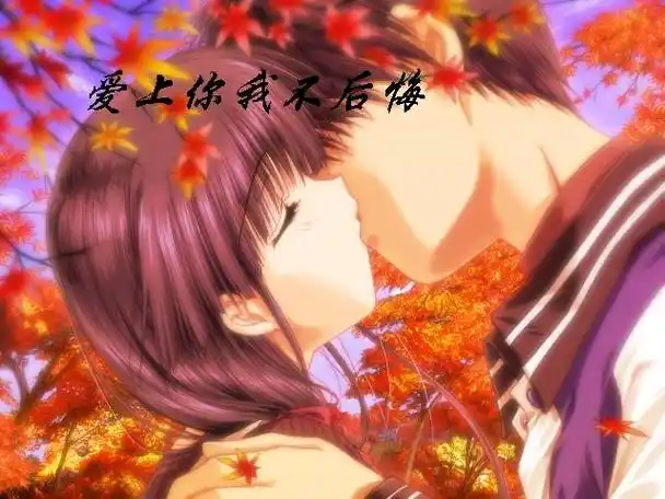 爱上你我不后悔