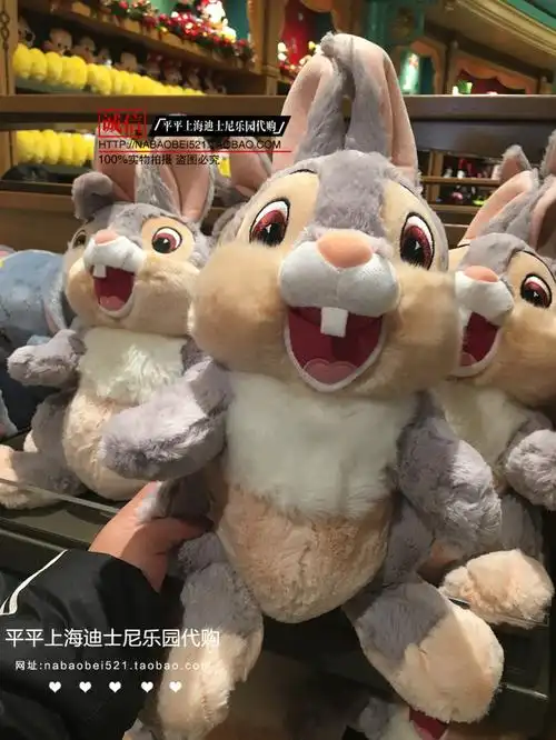 迪士尼熊(英语:duffy)是东京迪士尼海洋的原创玩偶角色.