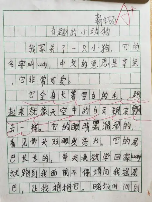 其它 《有趣的小动物》优秀作文展 写美篇