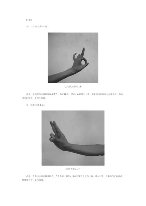 古典舞手形手位与舞姿