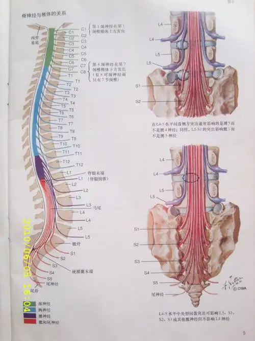 非手术治愈腰椎间盘突出症 - 好网角文章收藏