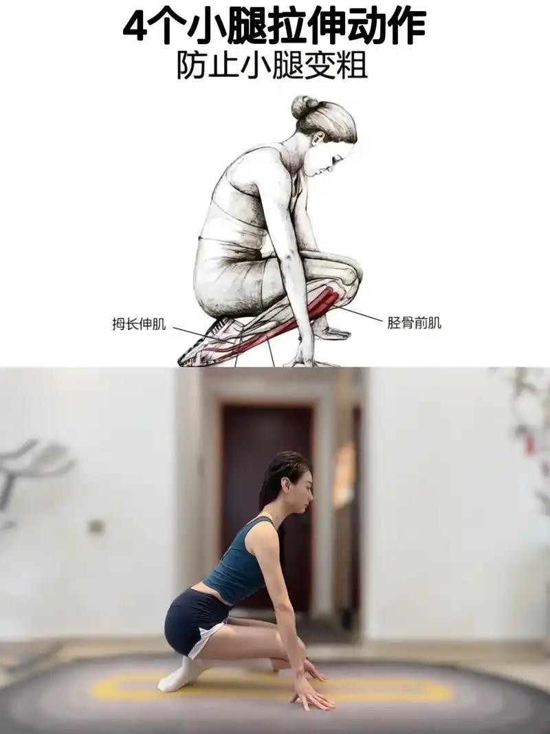 拉伸会不会瘦小腿,可以让我们线条流畅防止肌肉腿,每个动作刚开 - 抖