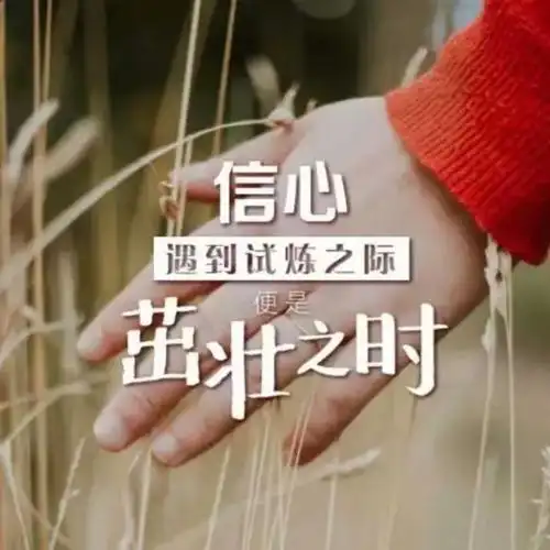 立定心志【鹤子消音】