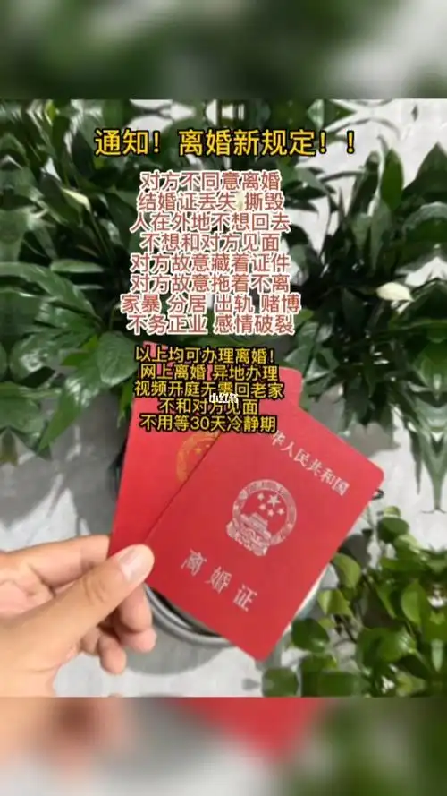 网上离婚手机可操作
