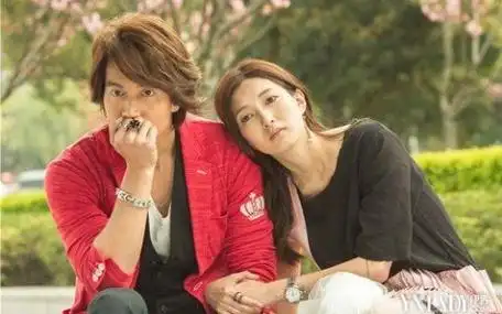 开头《流星花园》 123电视剧,《恋恋不忘》,《白色巨塔》,《最佳前