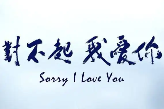 对不起我爱你歌词是什么