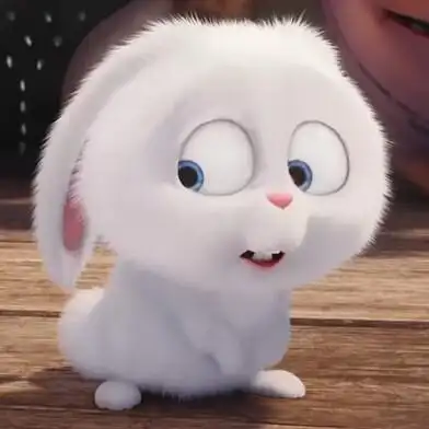 爱宠大机密可二改二改见简介都给我改,雪球太太太太可爱了