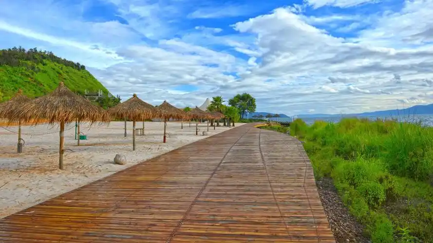 美丽的抚仙湖樱花谷