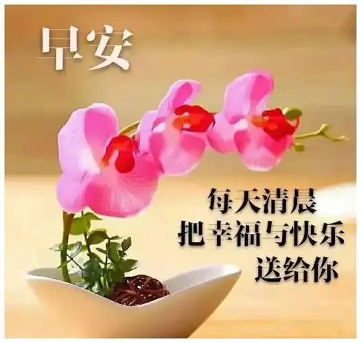 创意好看的祝福图片带字温馨