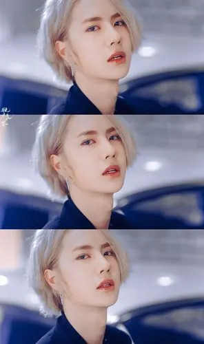 洛阳白牡丹 cr@风月长卷(2/6) 王一博