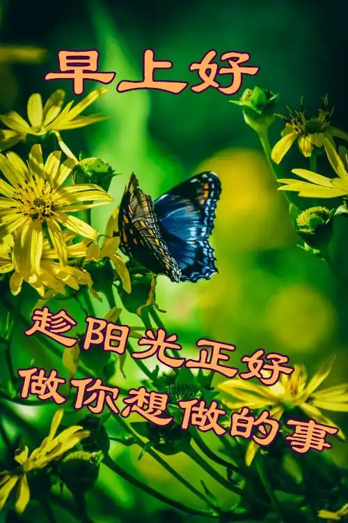 5月10日最漂亮早上好动态表情图片大全早晨好动图美图大全