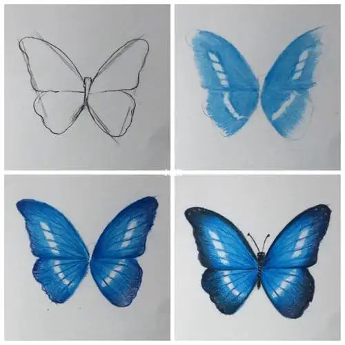 零基础彩铅蓝色蝴蝶03