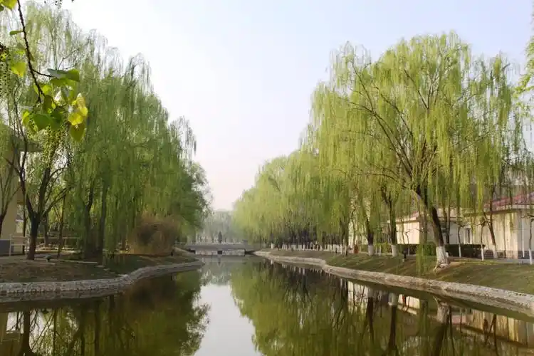 四月春醉------北京大兴团河印象