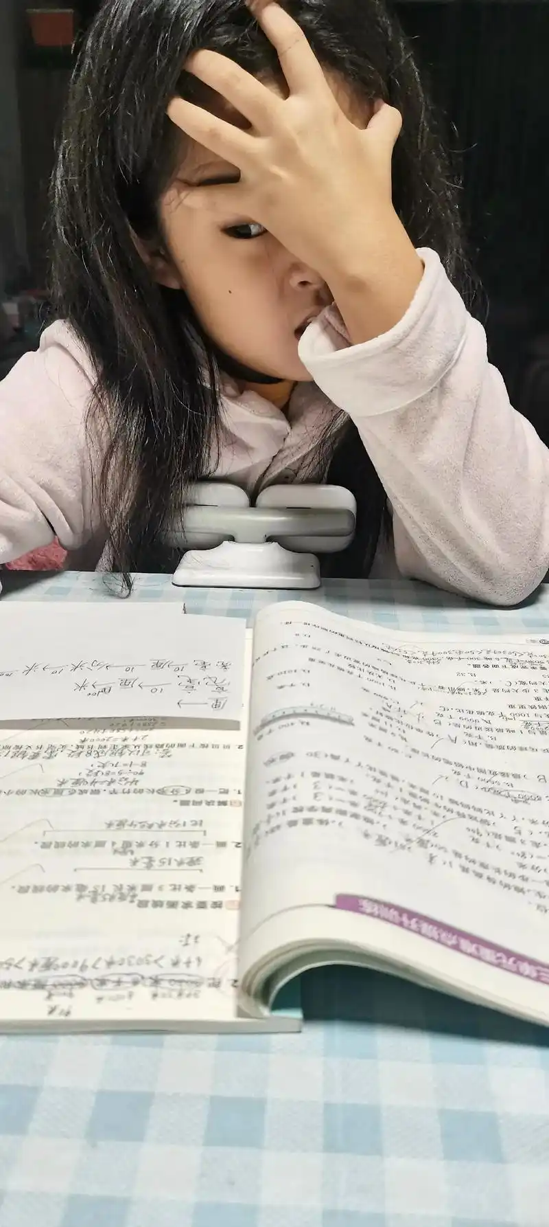 开学前补裤裆的小学生 #开学前 #孩子的作文 #写作业写疯 - 抖音