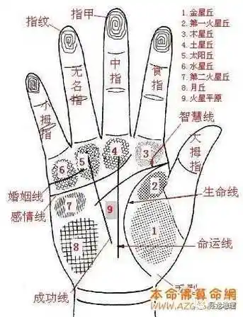 671,生命线弧度大,生命力顽强,欲望强烈,性格开朗大胆.