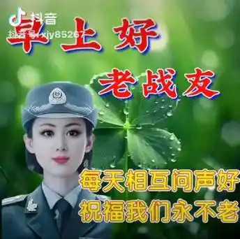 早上好,老战友!