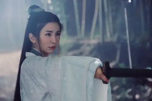 《陈情令》今日播出 "古装女王"刘庭羽"抱山散人"造型惊艳