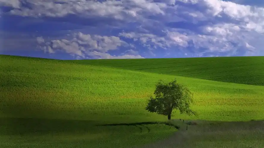 icon | 桌面头像图标签名分享 03 【美丽风景壁纸九】【1920x1080】