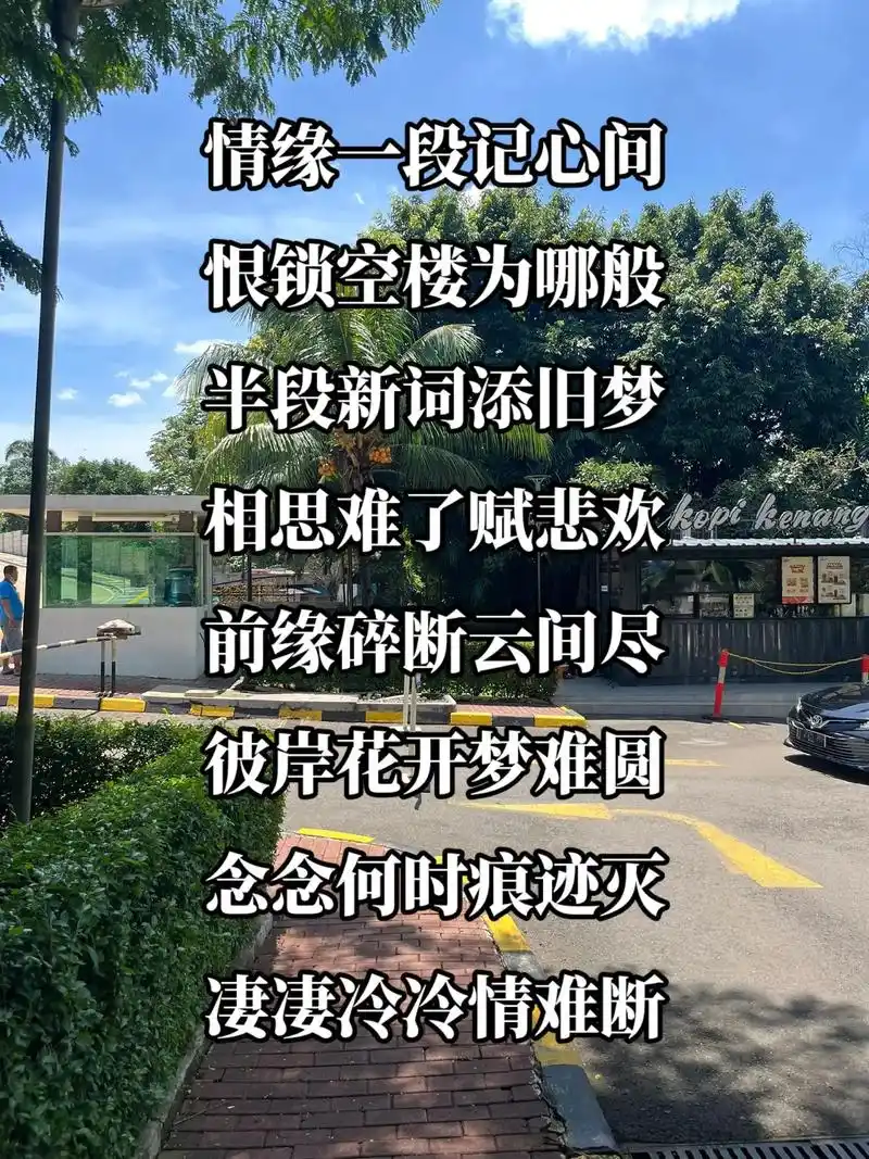 情缘一段记心间 恨锁空楼为哪般 半段新词添旧梦 相思难了赋悲 - 抖音