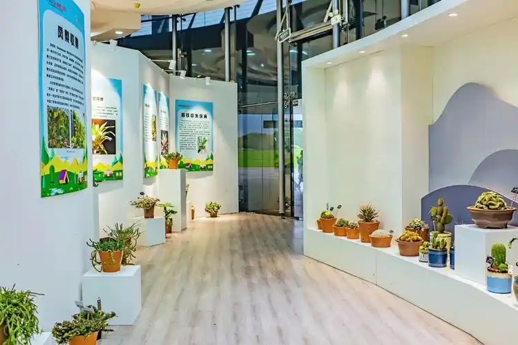 辰山多肉植物展今日开展